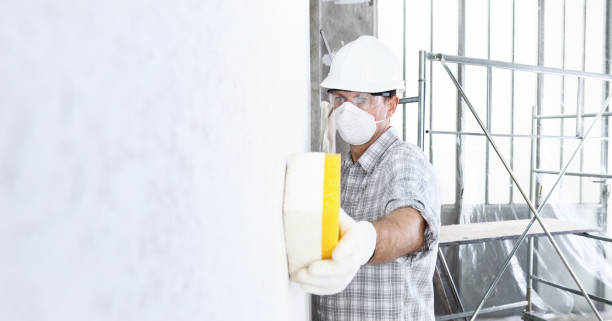 Best Mold Removal for HVAC Installations in Issaquah, WA