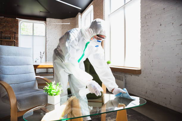 Reliable Issaquah, WA Mold Removal Solutions